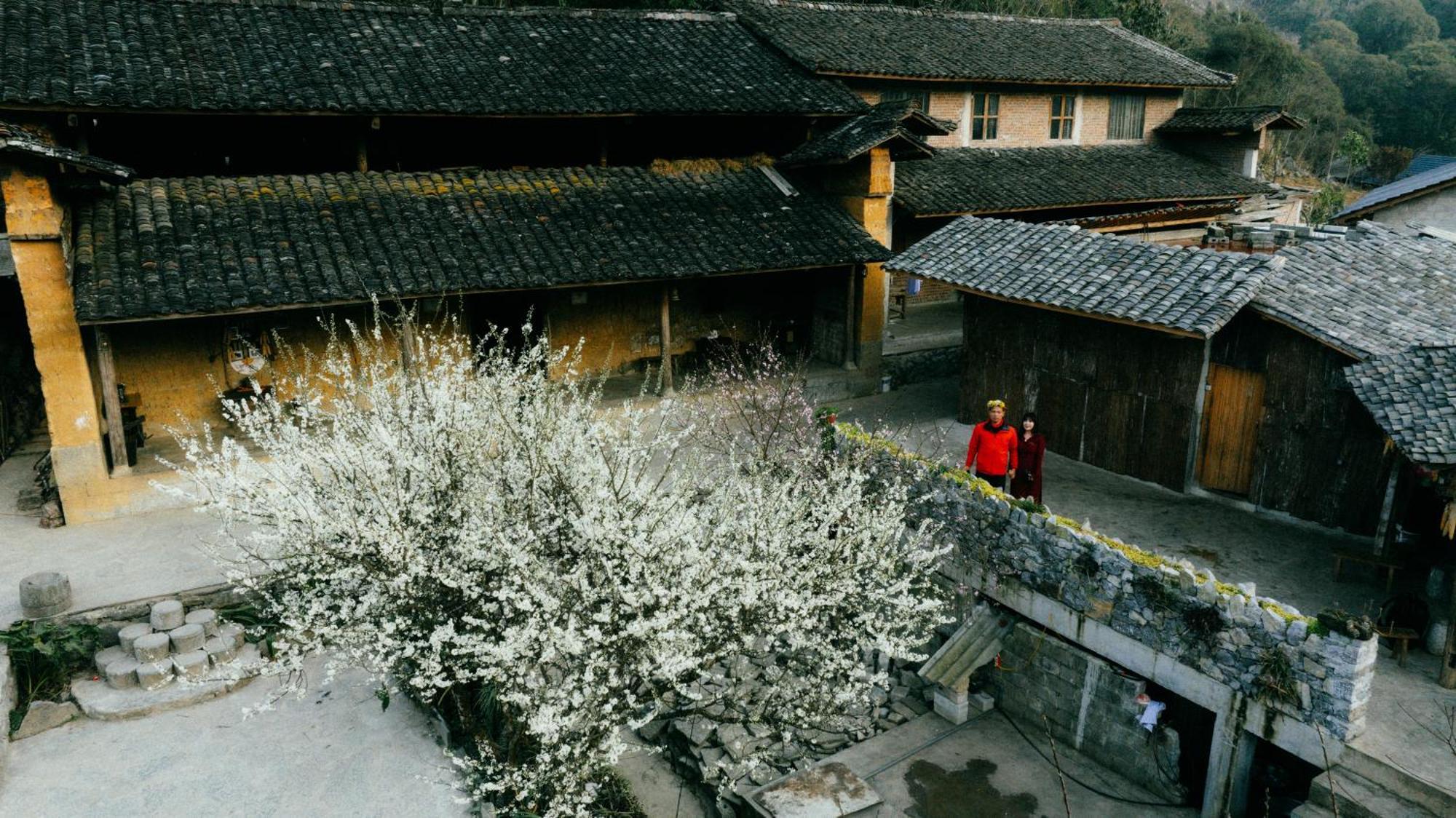 Nha Co Lao Xa Homestay Hmong Dong Van (Ha Giang) Exterior photo