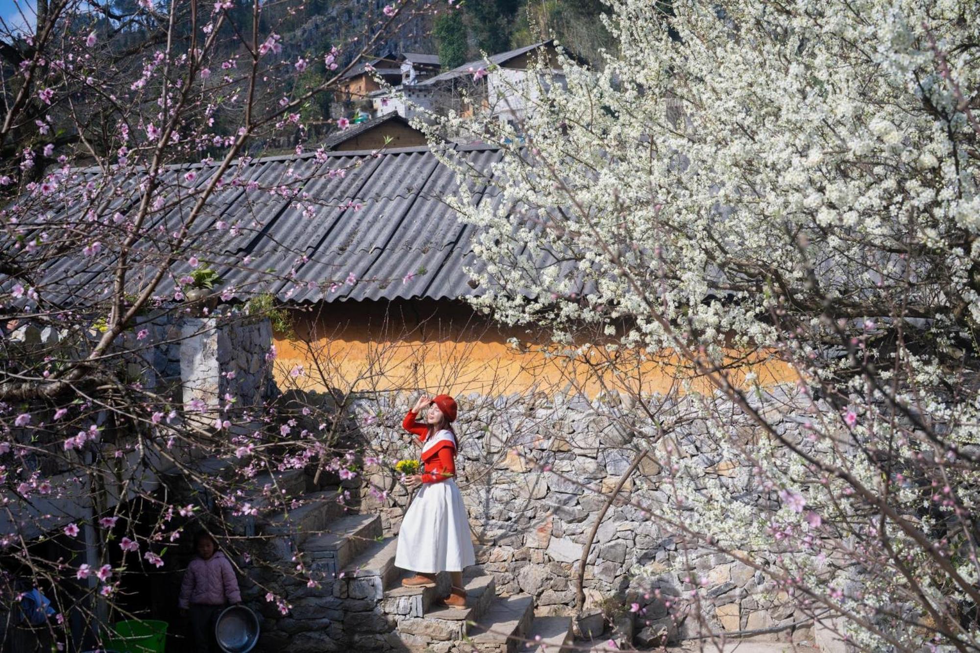 Nha Co Lao Xa Homestay Hmong Dong Van (Ha Giang) Exterior photo