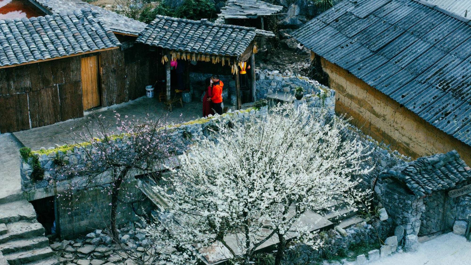 Nha Co Lao Xa Homestay Hmong Dong Van (Ha Giang) Exterior photo