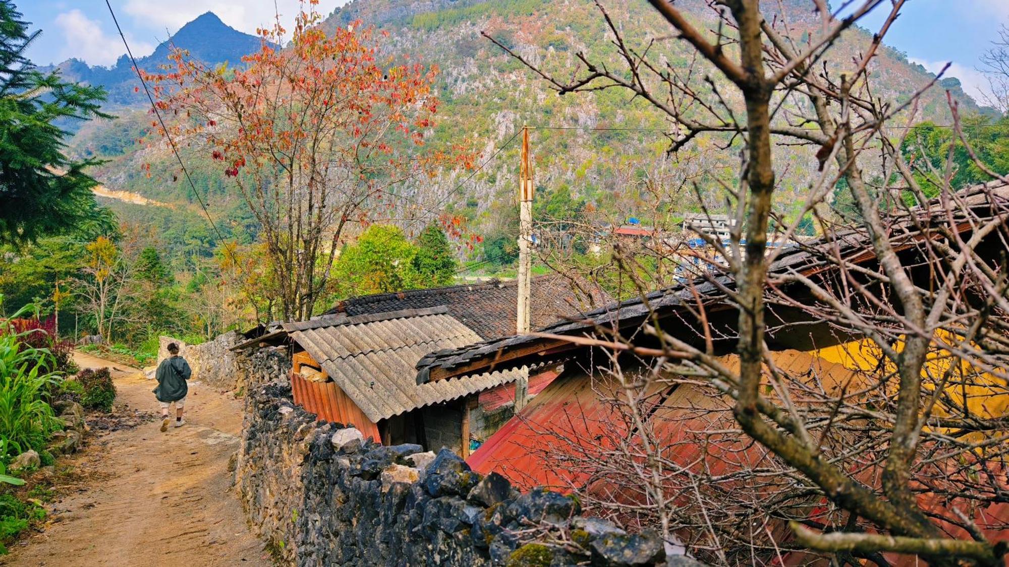 Nha Co Lao Xa Homestay Hmong & Bungalow Air Conditioner Dong Van  Exterior photo